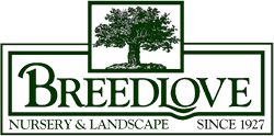 Breedlove-Nursery-Landscape-in-Tyler-TX