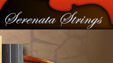 Screenshot-2024-03-16-101830